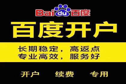 百度竞价排名服务在金融行业的推广策略